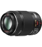 Panasonic HFS045200 45-200mm f/4.0-5.6 Lumix G Vario MEGA OIS Zoom